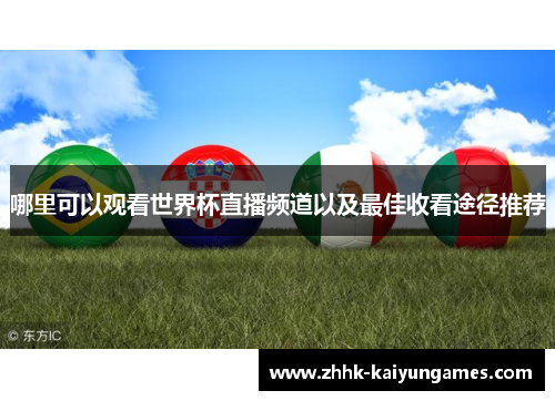 哪里可以观看世界杯直播频道以及最佳收看途径推荐